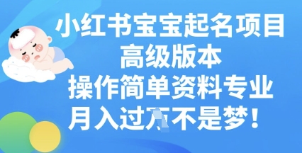 小红书宝宝起名项目高级版本，操作简单，资料专业，月入过W-网创终点站