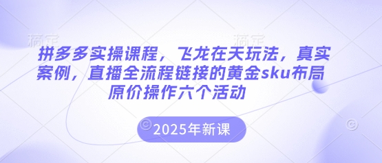 拼多多实操课程,飞龙在天玩法,真实案例,直播全流程链接的黄金sku布局原价操作六个活动-网创终点站