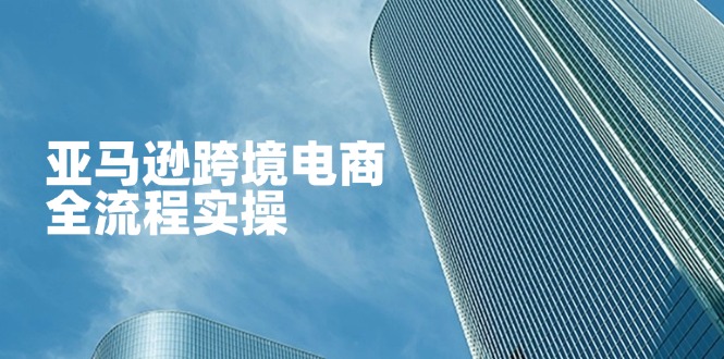 (14252期)亚马逊跨境电商全流程实操,教你从零开始,掌握店铺运营与广告技巧-网创终点站