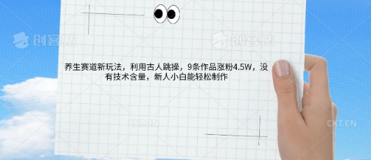 AI养生赛道新玩法,10条作品涨粉5.2W,操作简单,新人小白能轻松制作-网创终点站