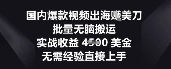 国内爆款视频出海挣美刀,批量无脑搬运,实战收益4.5k,无需经验直接上手-网创终点站