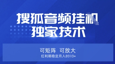 【搜狐音频挂G】独家技术,可矩阵可放大,红利期稳定月入8k【揭秘】-网创终点站