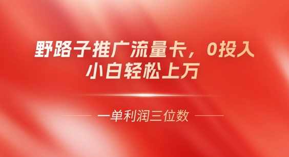 0门槛推广流量卡,一单收益上百,0投入,小白月入过W-网创终点站