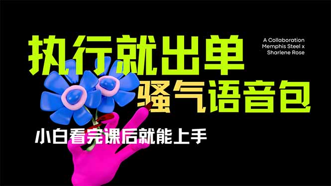 (14170期)爆火全网的开车导航骚气语音包,只要执行就出单,小白看完课程就能实操...-网创终点站
