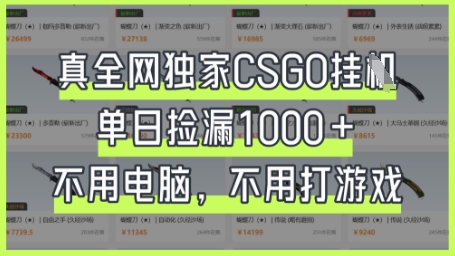 真全网独家CSGO挂G,单日捡漏1k+【揭秘】-网创终点站