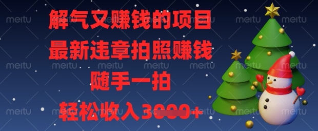 解气又挣钱的项目,最新违章拍照挣钱,随手一拍,轻松收入数张【揭秘】-网创终点站